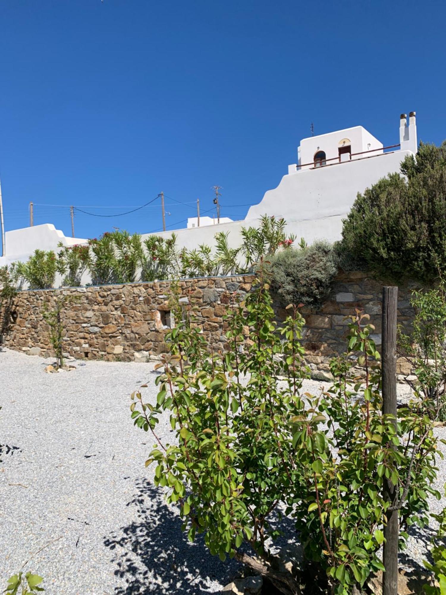 Villa Of Roses In Naxos - Private Villa With Pool Naxos City Buitenkant foto